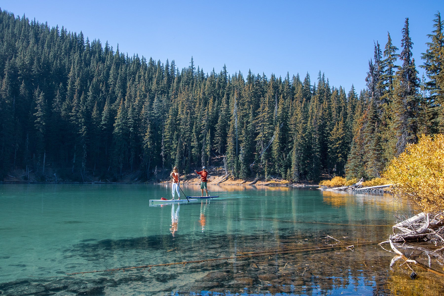 Two people paddling Stand on Liquid stand up paddleboards at Devil's Lake Oregon