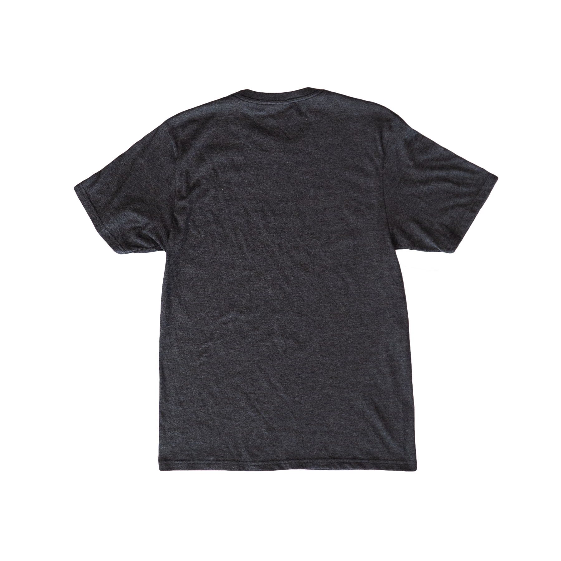 Stand on Liquid "Since 2010" Gray Tee