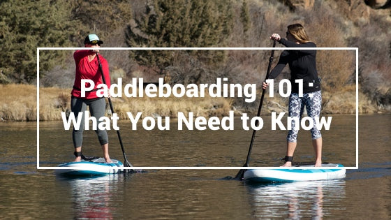 Paddleboarding 101: What You Need to Know