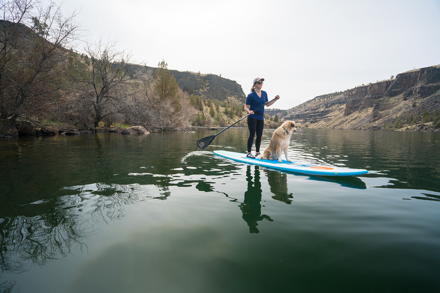 Woman and dog on stand on liquid stand up paddleboard